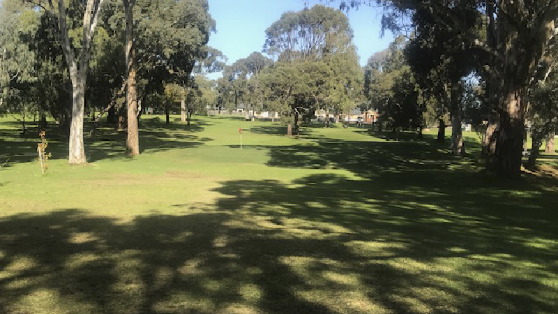 hole-11-01-(1).jpg